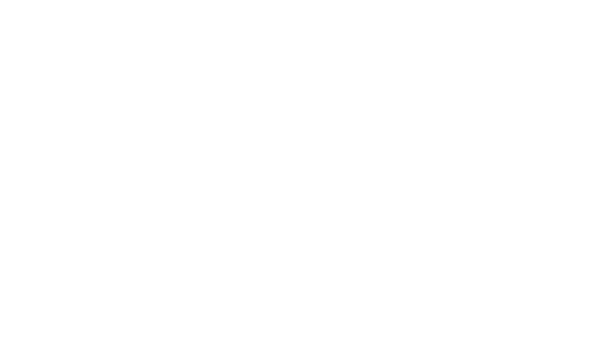 WordPress Website
